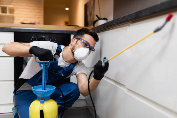 Best Cockroach Control Services  in Arlington Heights, PA