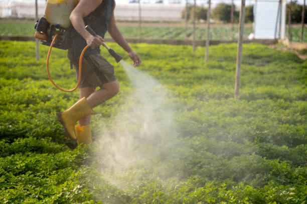 Best Affordable Pest Control Services  in Arlington Heights, PA