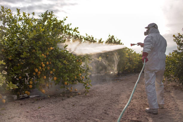 Insect Control in Arlington Heights, PA